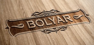 FM Bolyar